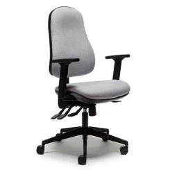 Orthopaedica ergonomic office chair for back pain