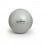 a silver gym ball