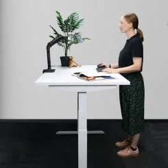 HQ Electric Sit Stand Desk